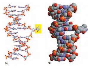 Figure 5-42.png
